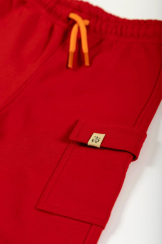 Red Penguin Cargo